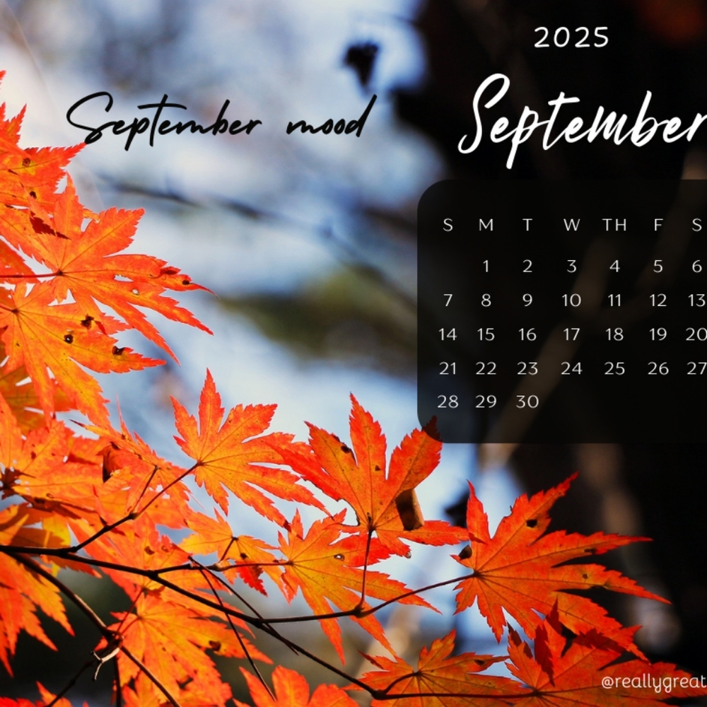 $15 Minimum - image 5